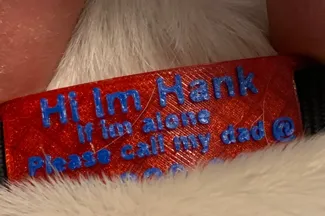 collar name plate