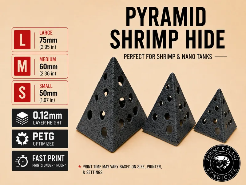 Shrimp Hide Pyamid 