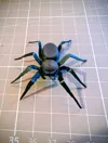 No Hole Spider - Don't use for Toiletpaper Prank