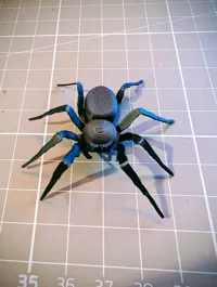 No Hole Spider - Don't use for Toiletpaper Prank