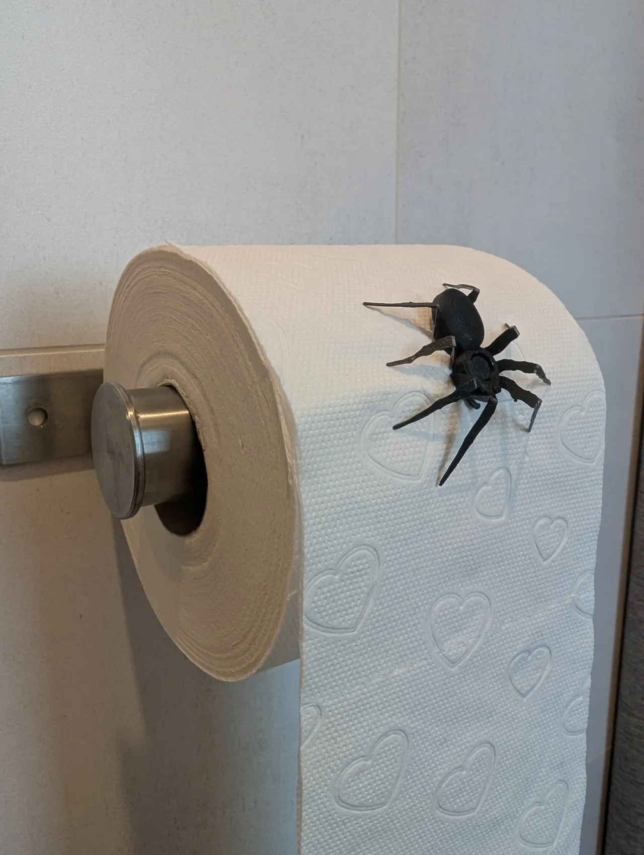 Toiletpaper Prank Spider view 3