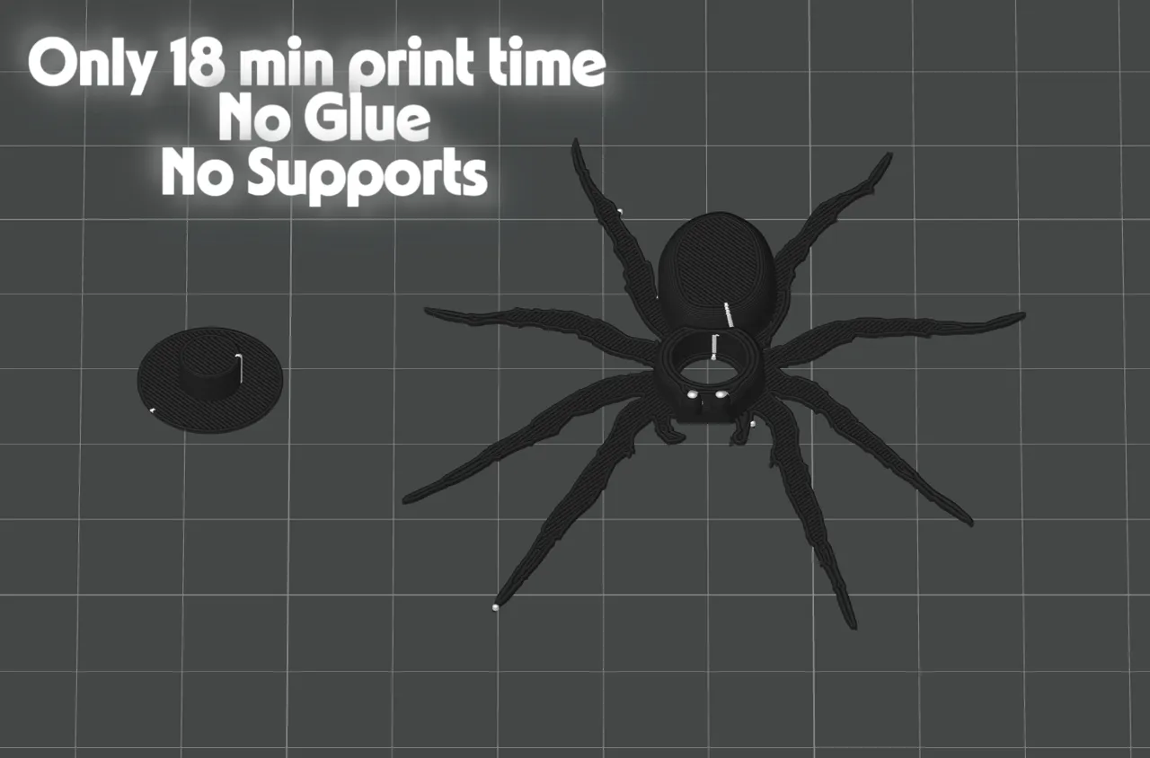 Toiletpaper Prank Spider view 4