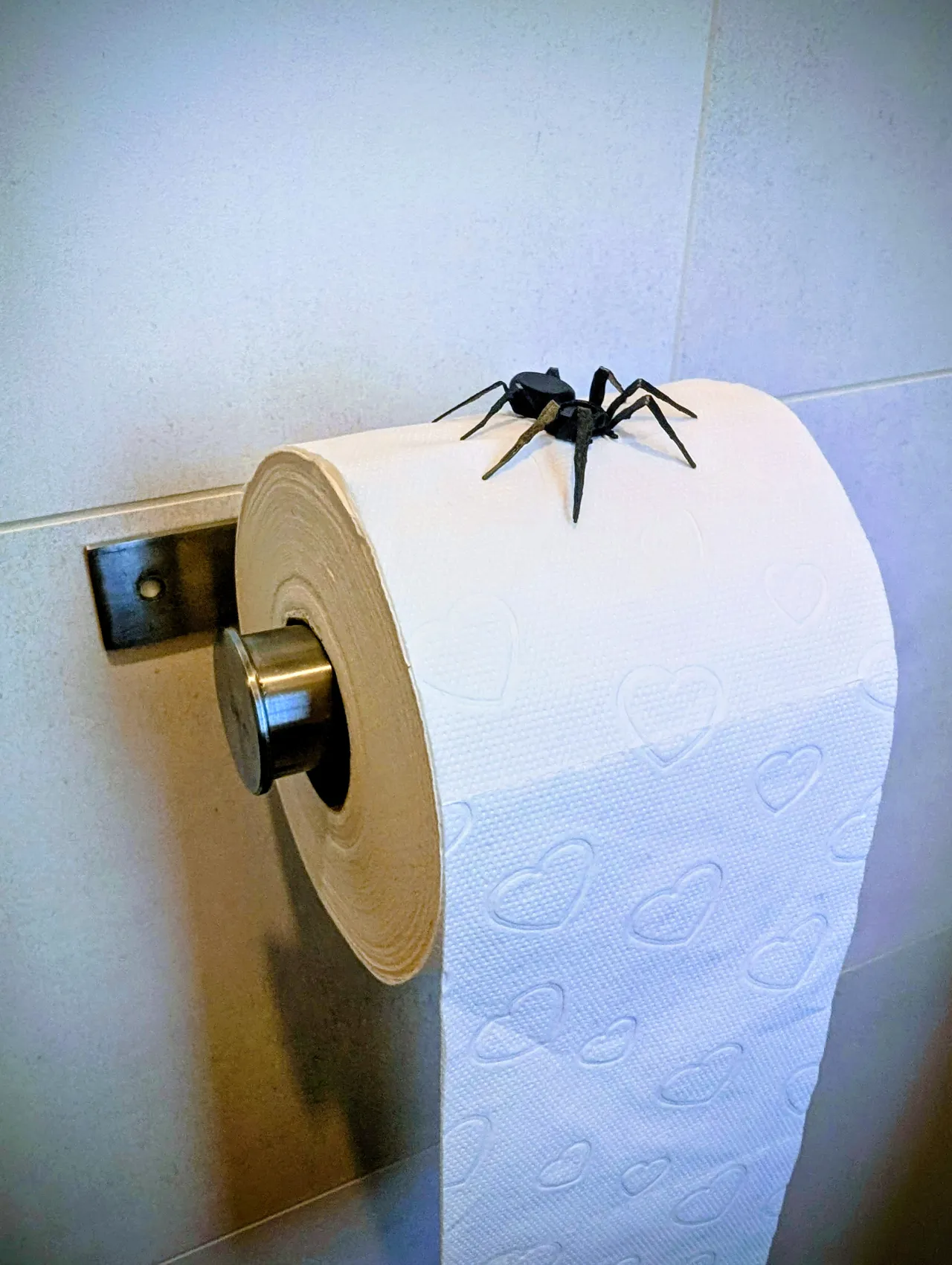 Toiletpaper Prank Spider view 2