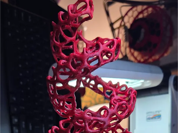 https://makerworld.bblmw.com/makerworld/model/US4a06fb4c15d139/design/2026-01-02_a4b967b5c90f78.jpg
