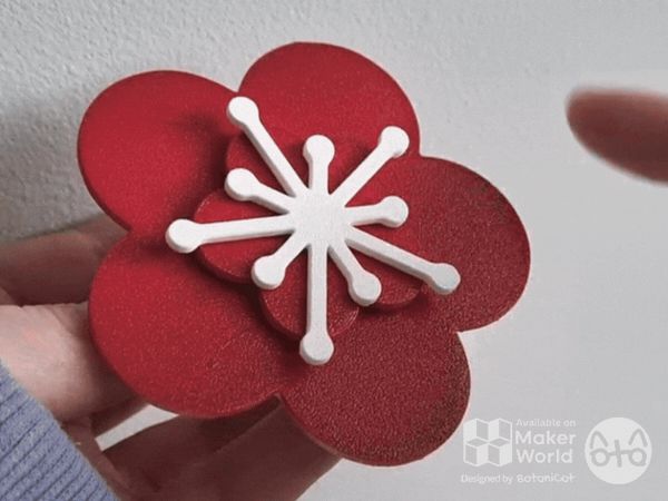 https://makerworld.bblmw.com/makerworld/model/US4a087b5b26c70e/design/2025-01-05_a86ea28a9fc7b.gif