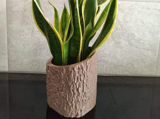 Vaso tronco di legno contenitore orchidee