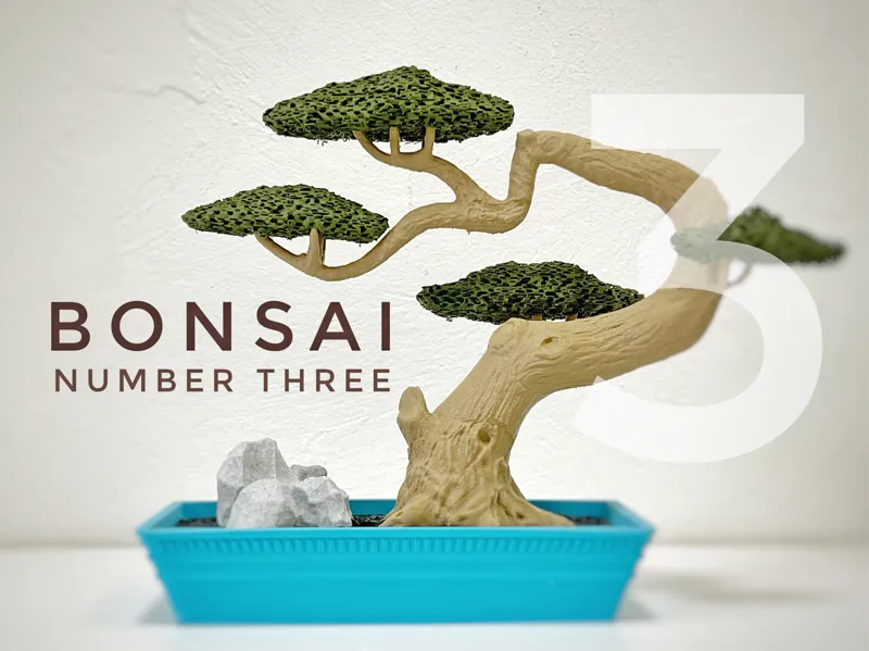 Bonsai #3