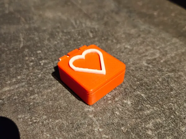 https://makerworld.bblmw.com/makerworld/model/US4a1234ef1cc2b0/design/2025-01-21_82877362319bb.jpg