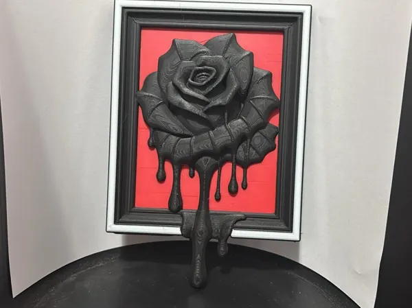 https://makerworld.bblmw.com/makerworld/model/US4a1298cf28cfa2/design/2025-06-11_09a0a9a5d61e2.jpeg