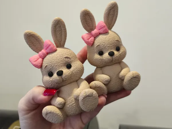 https://makerworld.bblmw.com/makerworld/model/US4a179085d93240/design/2026-01-02_5a5ac52442f6e8.jpg