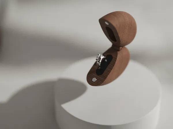 https://makerworld.bblmw.com/makerworld/model/US4a1ebbc98537b1/design/2024-07-29_c29f4d1a15bb7.jpg