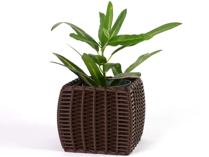 Woven Plant Pot - Inflated box