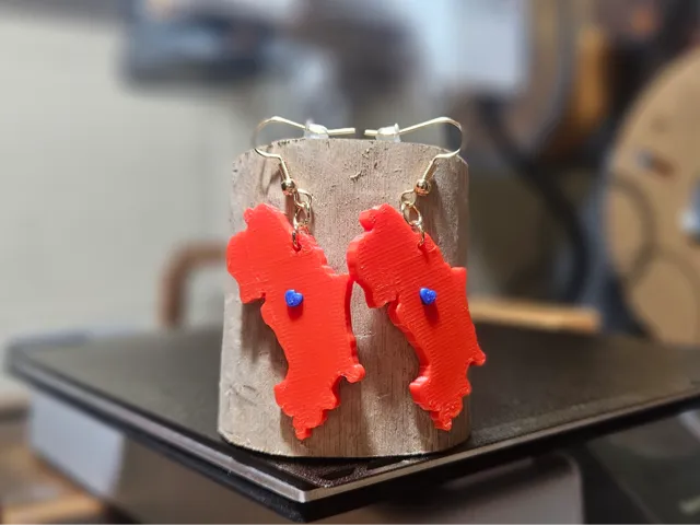Heart of Costa Rica Earrings