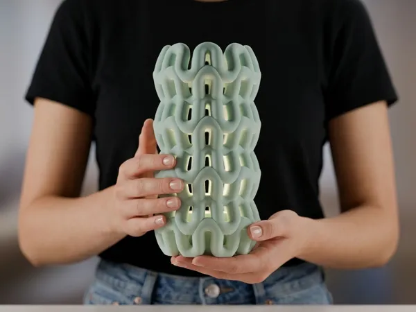 https://makerworld.bblmw.com/makerworld/model/US4a28d6db05f964/design/227d3a4805befedd.png
