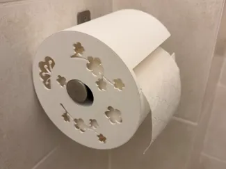Toilet paper protector