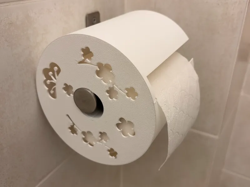 Toilet paper protector