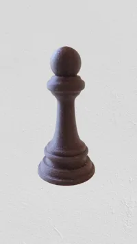 Pion (norme FIDE) — photo 2