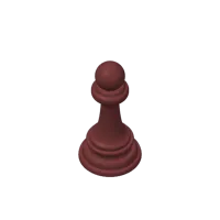 Pion (norme FIDE) — photo 4