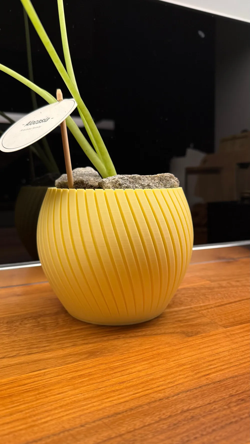 Flower - Plant Pot ( Medium Size ) - Free 3D Print Model - MakerWorld