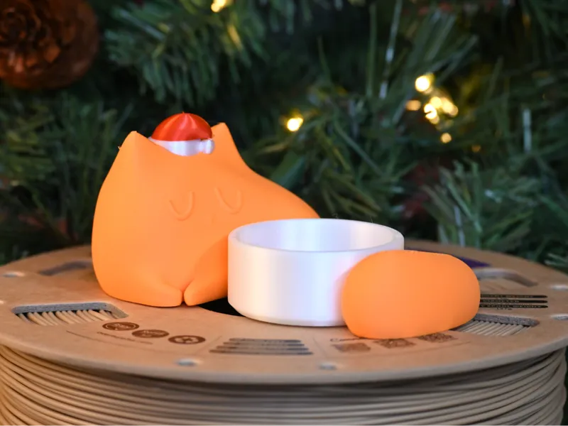 Christmas Container Cat