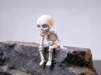 Skull (monitor ornament)