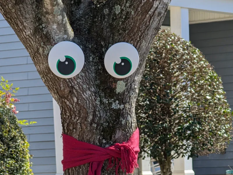 Cartoon Eyes (150mm)