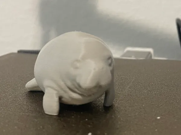 https://makerworld.bblmw.com/makerworld/model/US4a439ef8bcfa7b/design/e95bddebfe2392f6.jpeg
