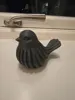 Bird Pla