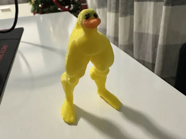 https://makerworld.bblmw.com/makerworld/model/US4a46688dd449a9/design/2024-12-22_51b4a70489d78.jpg