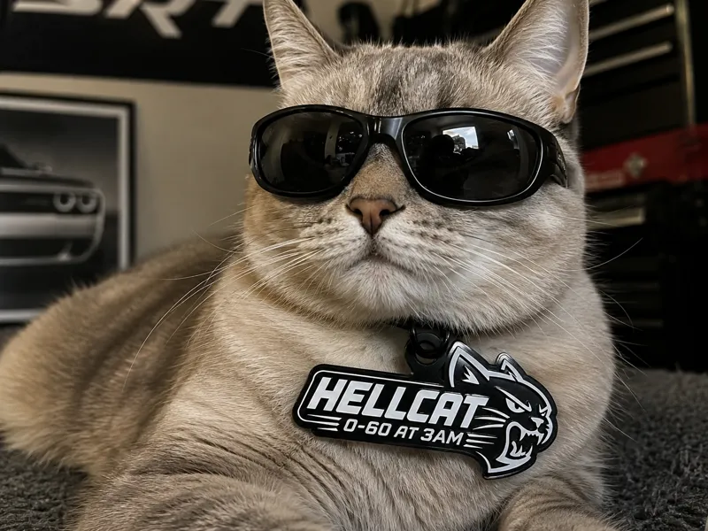 Hellcat Cat Collar Tag