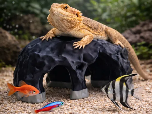 Grotte-abri pour terrarium et aquarium
