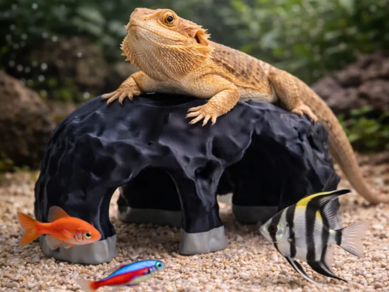 Fish & Reptile Hide Cave”