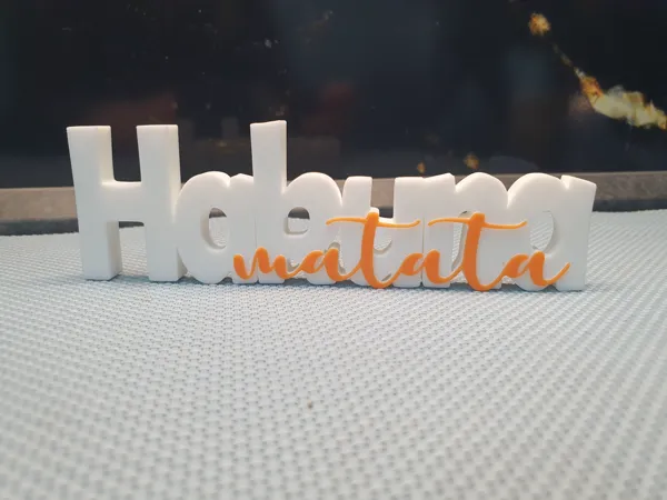 https://makerworld.bblmw.com/makerworld/model/US4a4ecfb82bfb3/design/2025-06-02_77e3d64a12f828.jpg