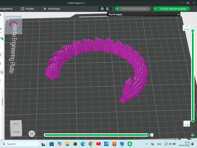 Snake Dragon