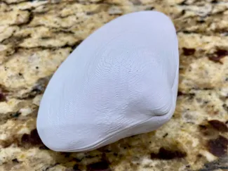 Clam
