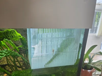 Fish breeding box - fully parametric