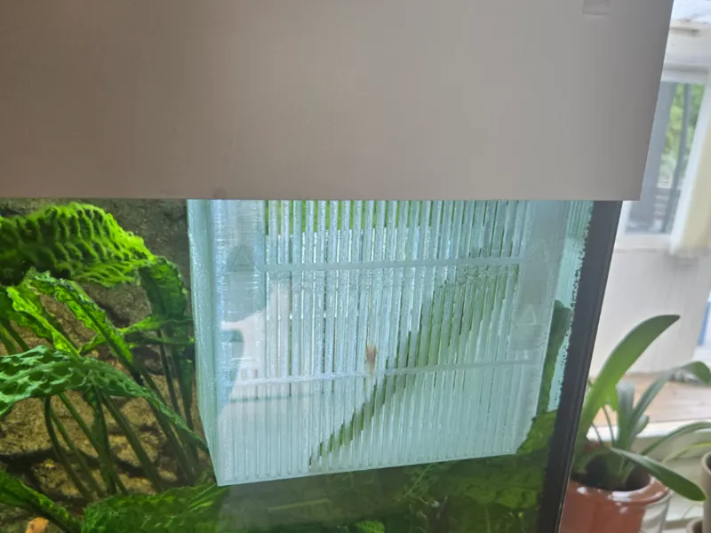 Fish breeding box - fully parametric