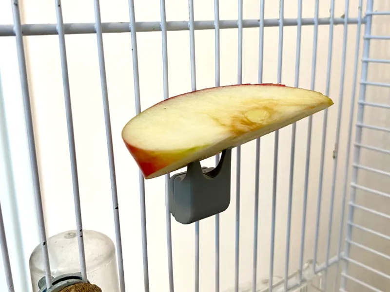 Bird Cage – Fruit and vegetable holder