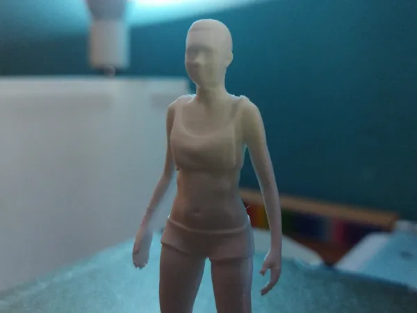 https://makerworld.bblmw.com/makerworld/model/US4a69a36385c101/design/2025-06-19_348c3b5aa2ea08.jpeg
