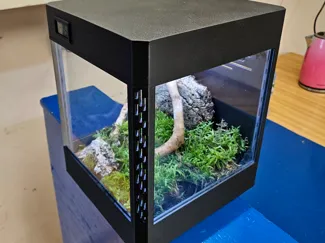 Terrarium spider frog