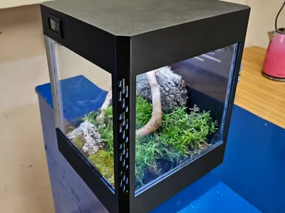 Terrarium spider frog