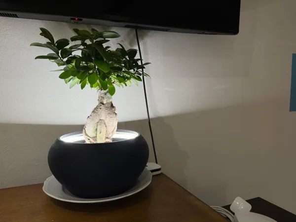 https://makerworld.bblmw.com/makerworld/model/US4a820398b22bbb/design/2024-10-29_84af23fbdfbee.jpg