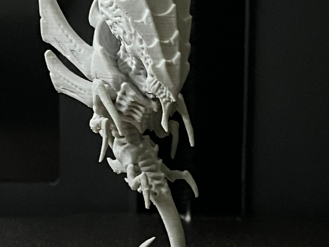 Space big brain bug
