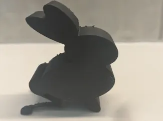 Hopping bunny
