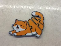a fun cat for play or anything else