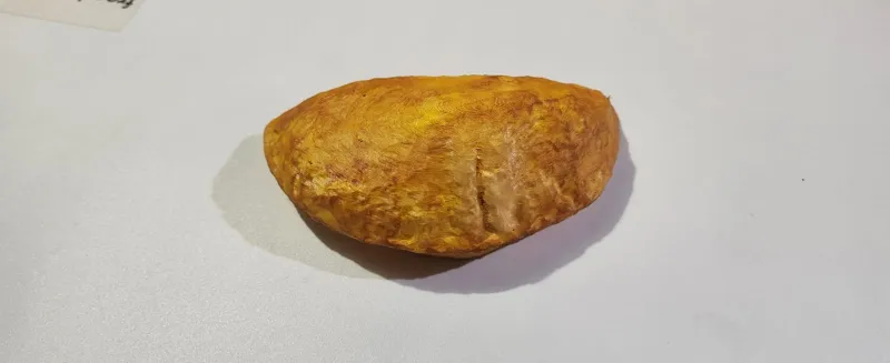 Empanada