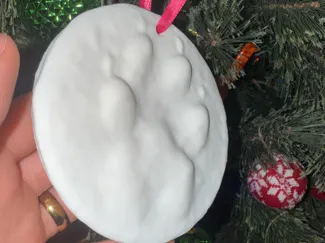 Dog Paw Christmas Ornament, Pet Paw Print Display