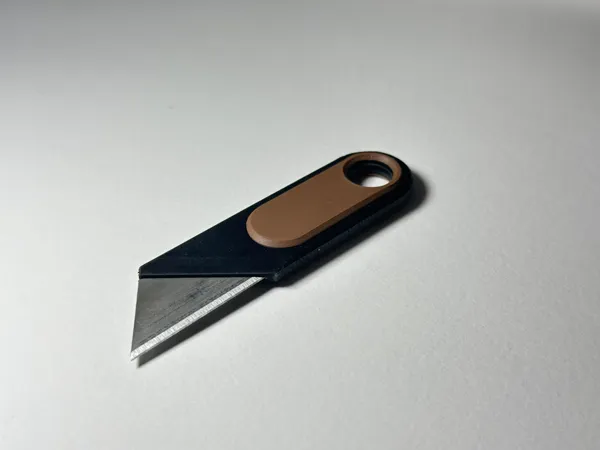 https://makerworld.bblmw.com/makerworld/model/US4a8da001581d1a/design/2025-06-13_690a8bbc218d3.jpg