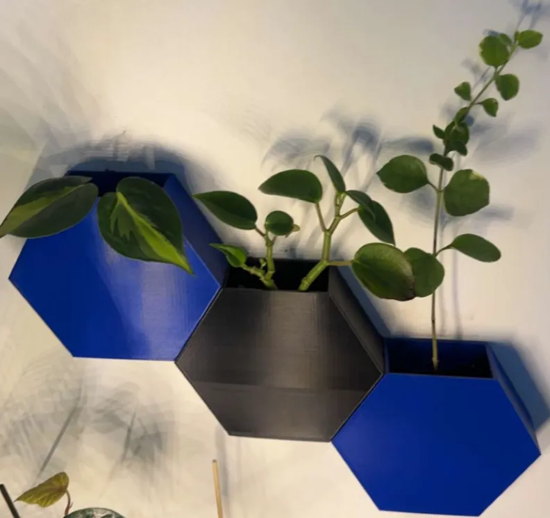 Hexagonal plant pot