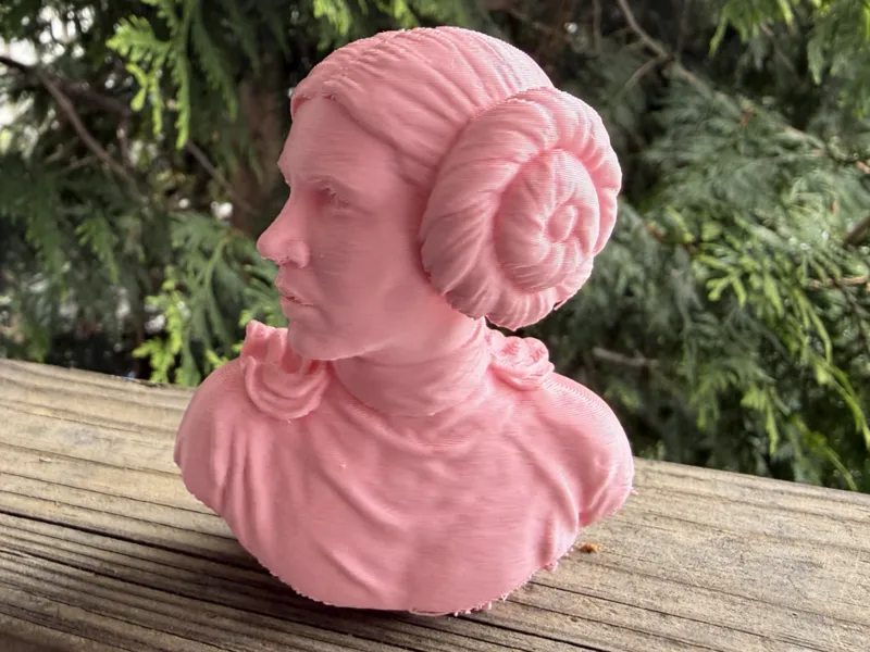 Princess Leia Bust